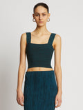 Front cropped image of model wearing Knit Bustier Top in BLACK/DUSTY BLUE