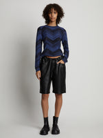 Front image of model wearing Marled Stripe Knit Sweater in cerulean/black