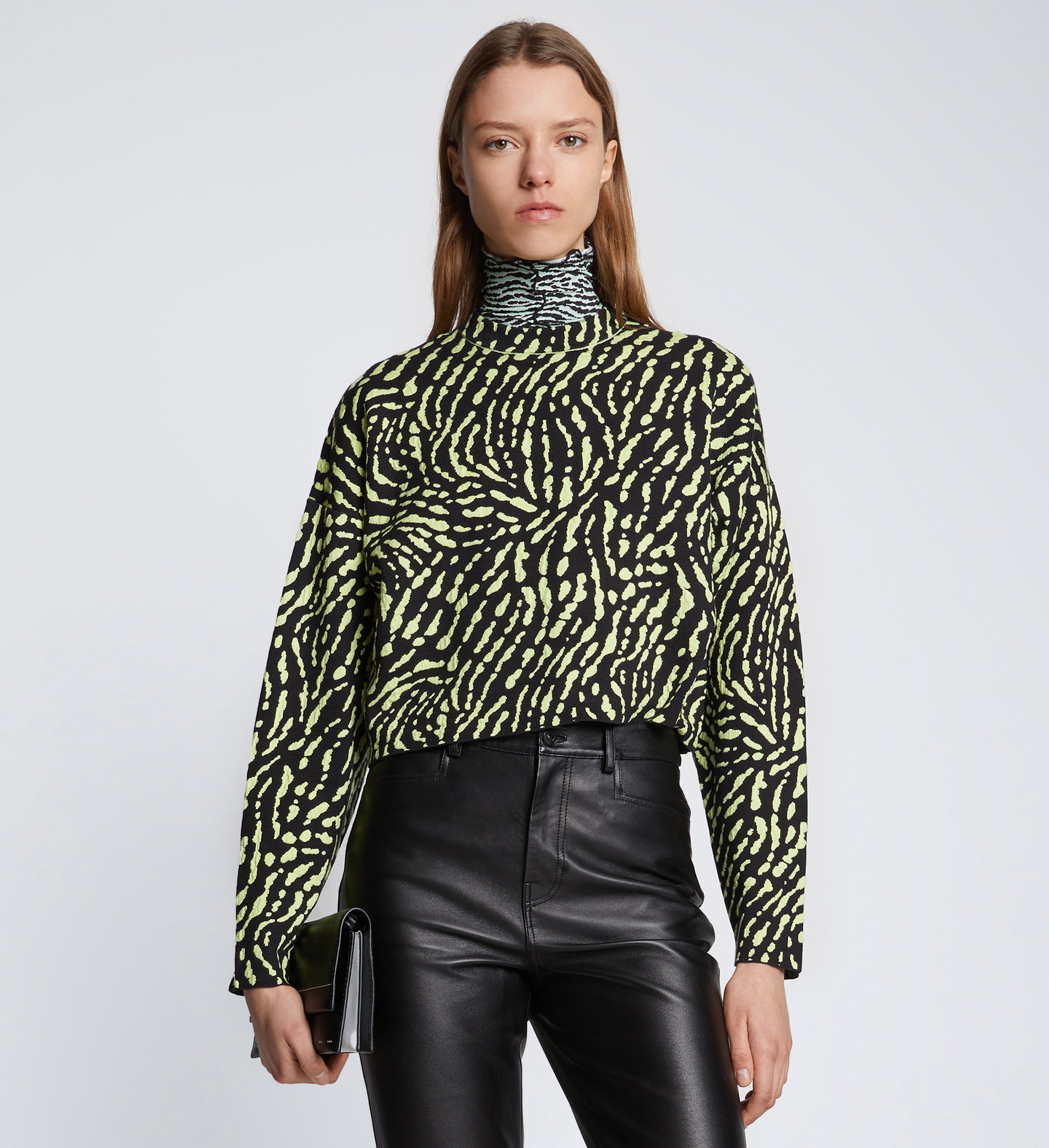 Animal Jacquard Sweater – Proenza Schouler